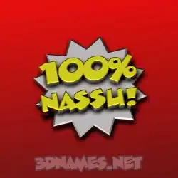 nassu in 100 Percent style - 3D name wallpaper