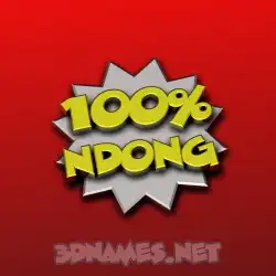 ndong in 100 Percent style - 3D name wallpaper