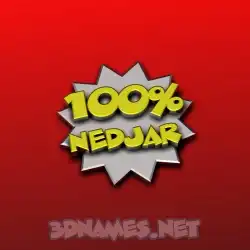 nedjar in 100 Percent style - 3D name wallpaper