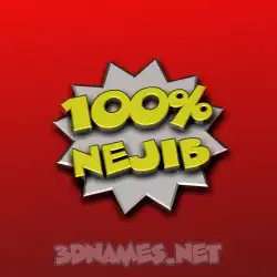 nejib in 100 Percent style - 3D name wallpaper