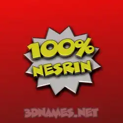 nesrin in 100 Percent style - 3D name wallpaper