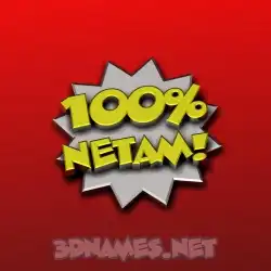 netam in 100 Percent style - 3D name wallpaper
