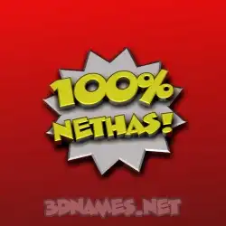 nethas in 100 Percent style - 3D name wallpaper