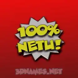 netu in 100 Percent style - 3D name wallpaper