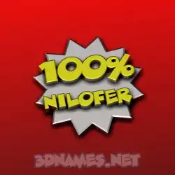 nilofer in 100 Percent style - 3D name wallpaper