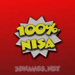 nisa in 100 Percent style - 3D name wallpaper