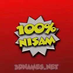 nisam in 100 Percent style - 3D name wallpaper