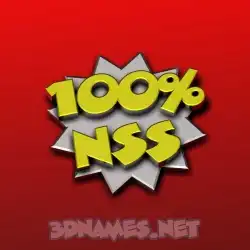 nss in 100 Percent style - 3D name wallpaper