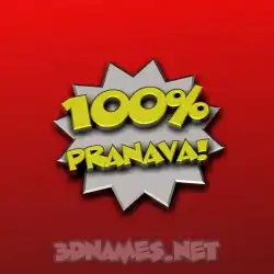 pranava in 100 Percent style - 3D name wallpaper