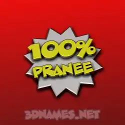 pranee in 100 Percent style - 3D name wallpaper
