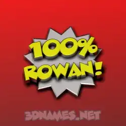 rowan in 100 Percent style - 3D name wallpaper