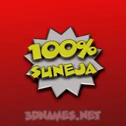 suneja in 100 Percent style - 3D name wallpaper