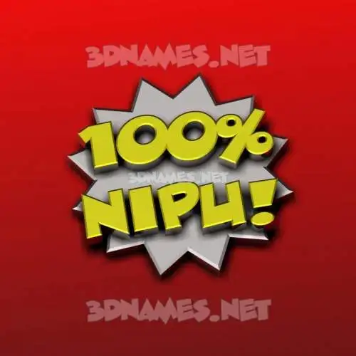 nipu in 100 Percent style - 3D name wallpaper