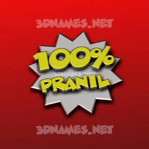 pranil in 100 Percent style - 3D name wallpaper pranil in 100 Percent style - 3D name wallpaper