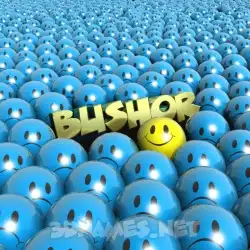 bushor in Special Smileys style - 3D name wallpaper