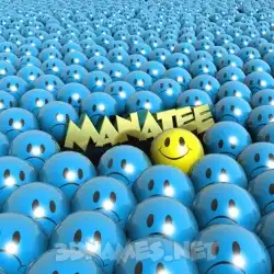 manatee in Special Smileys style - 3D name wallpaper