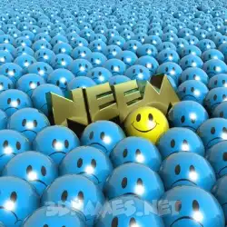 neem in Special Smileys style - 3D name wallpaper