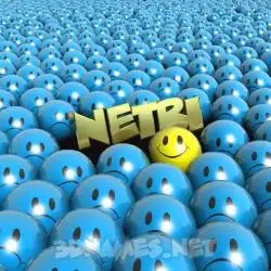 netri in Special Smileys style - 3D name wallpaper