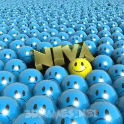 niva in Special Smileys style - 3D name wallpaper