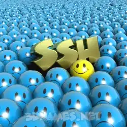 ssh in Special Smileys style - 3D name wallpaper