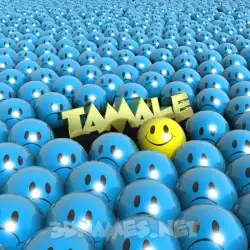 tamale in Special Smileys style - 3D name wallpaper