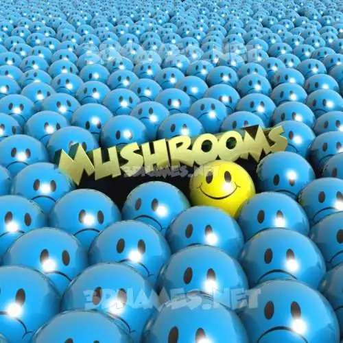 mushrooms in Special Smileys style - 3D name wallpaper mushrooms in Special Smileys style - 3D name wallpaper