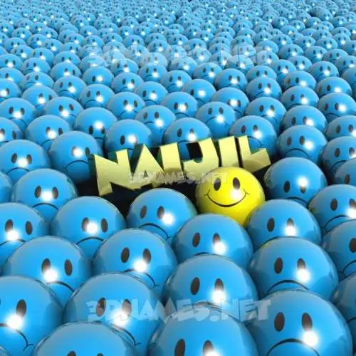 naijil in Special Smileys style - 3D name wallpaper naijil in Special Smileys style - 3D name wallpaper