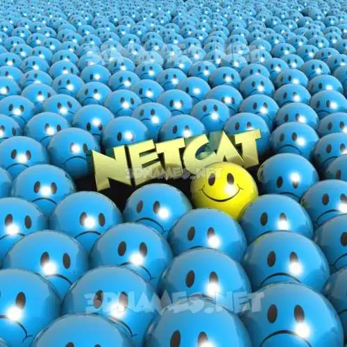 netcat in Special Smileys style - 3D name wallpaper netcat in Special Smileys style - 3D name wallpaper