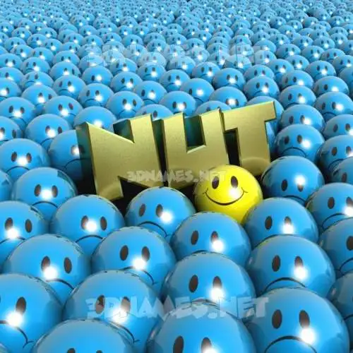 nut in Special Smileys style - 3D name wallpaper