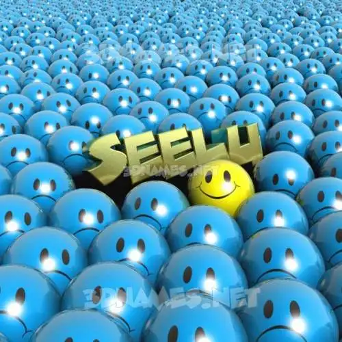 seelu in Special Smileys style - 3D name wallpaper