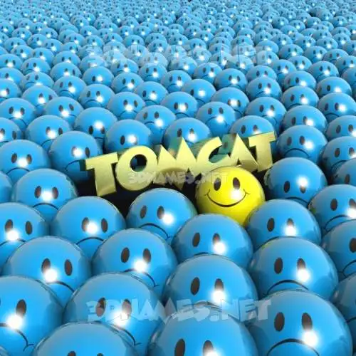tomcat in Special Smileys style - 3D name wallpaper tomcat in Special Smileys style - 3D name wallpaper