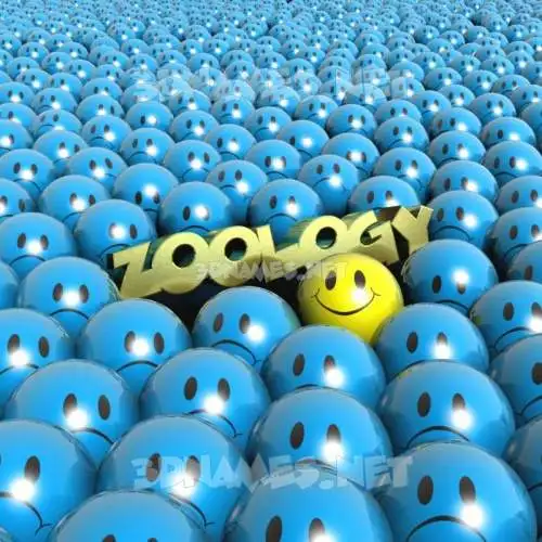 zoology in Special Smileys style - 3D name wallpaper zoology in Special Smileys style - 3D name wallpaper
