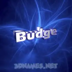 budge in Plasma style - 3D name wallpaper