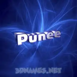 punee in Plasma style - 3D name wallpaper