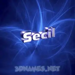 secil in Plasma style - 3D name wallpaper