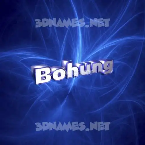 bohung in Plasma style - 3D name wallpaper bohung in Plasma style - 3D name wallpaper