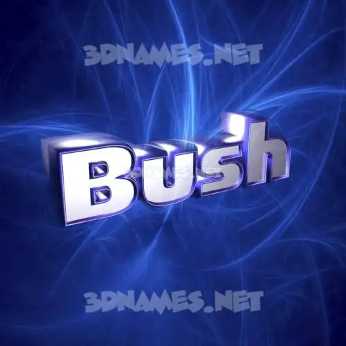 bush in Plasma style - 3D name wallpaper bush in Plasma style - 3D name wallpaper