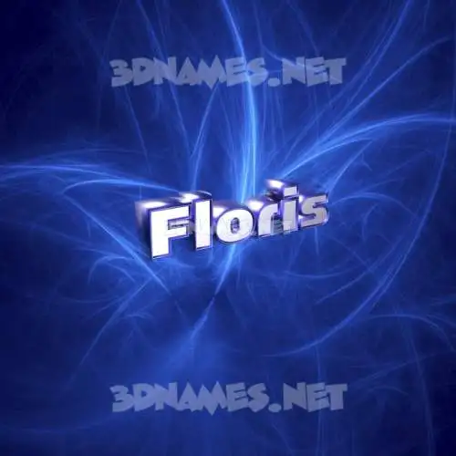 floris in Plasma style - 3D name wallpaper floris in Plasma style - 3D name wallpaper