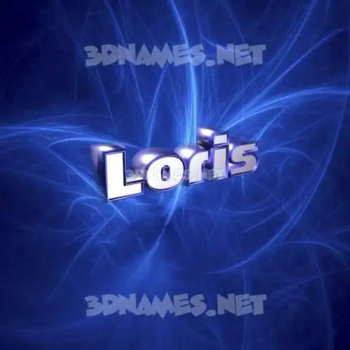 loris in Plasma style - 3D name wallpaper loris in Plasma style - 3D name wallpaper