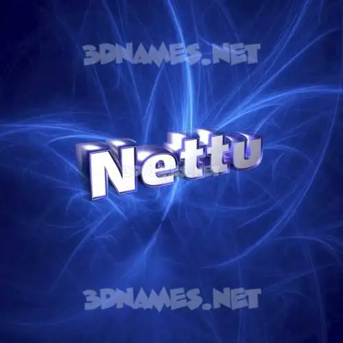 nettu in Plasma style - 3D name wallpaper