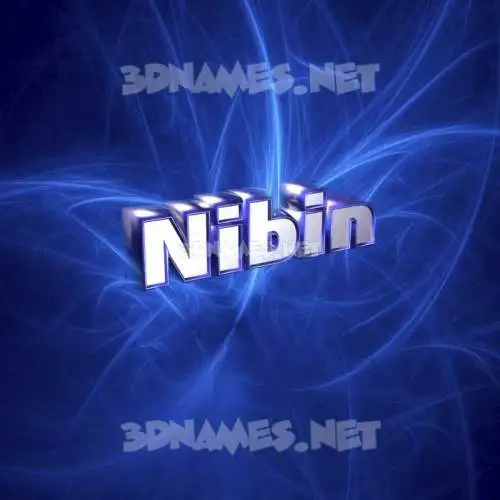 nibin in Plasma style - 3D name wallpaper