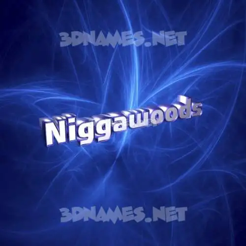 niggawoods in Plasma style - 3D name wallpaper niggawoods in Plasma style - 3D name wallpaper