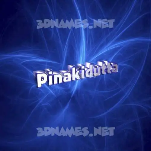 pinakidutta in Plasma style - 3D name wallpaper pinakidutta in Plasma style - 3D name wallpaper