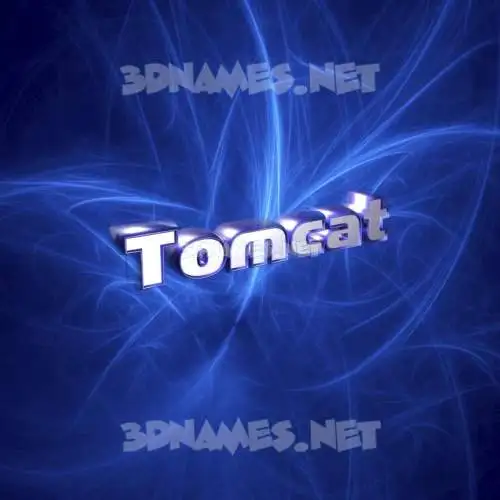 tomcat in Plasma style - 3D name wallpaper tomcat in Plasma style - 3D name wallpaper