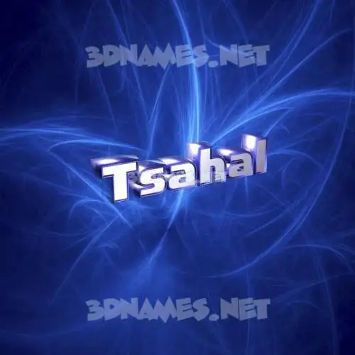 tsahal in Plasma style - 3D name wallpaper tsahal in Plasma style - 3D name wallpaper