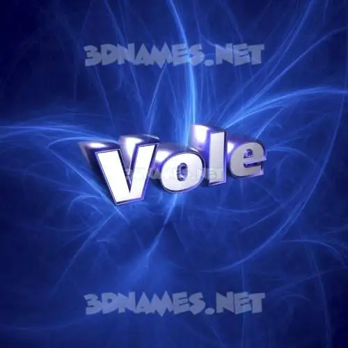 vole in Plasma style - 3D name wallpaper vole in Plasma style - 3D name wallpaper