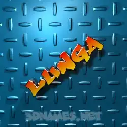 lunga in Grid Style style - 3D name wallpaper