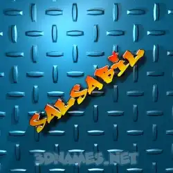 salsabil in Grid Style style - 3D name wallpaper