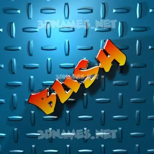 bush in Grid Style style - 3D name wallpaper bush in Grid Style style - 3D name wallpaper
