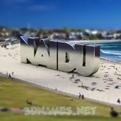 naidu in Bondi Beach style - 3D name wallpaper